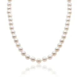 Beaverbrooks 18ct Yellow Gold Akoya Pearl Necklace