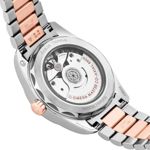 OMEGA Seamaster Aqua Terra Shades 38mm Stainless Steel and 18K Sedna Gold Automatic Watch