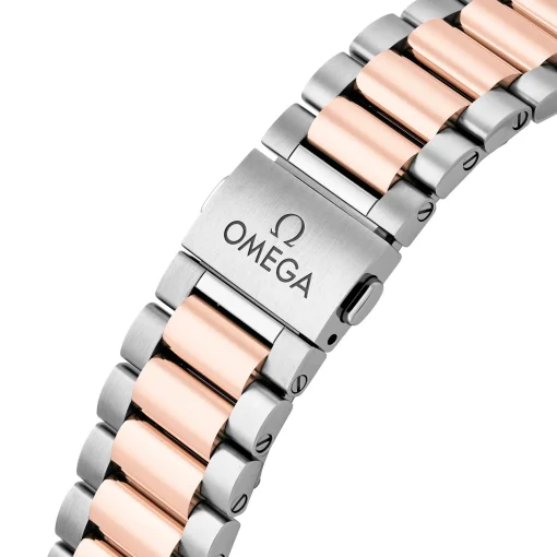 OMEGA Seamaster Aqua Terra Shades 38mm Stainless Steel and 18K Sedna Gold Automatic Watch
