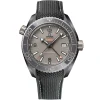 OMEGA Seamaster Planet Ocean 600M 45.5mm Automatic Men's Watch