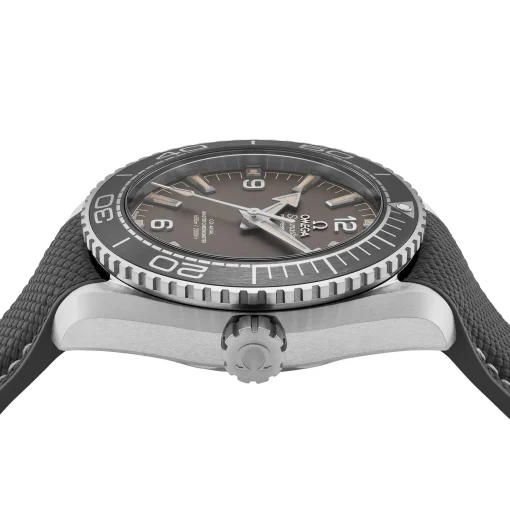 OMEGA Seamaster Planet Ocean 600M 43.5mm Co-Axial Master Chronometer Automatic Men’s Watch