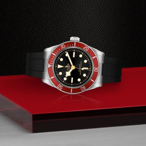 TUDOR Black Bay 41mm Automatic Men’s Watch