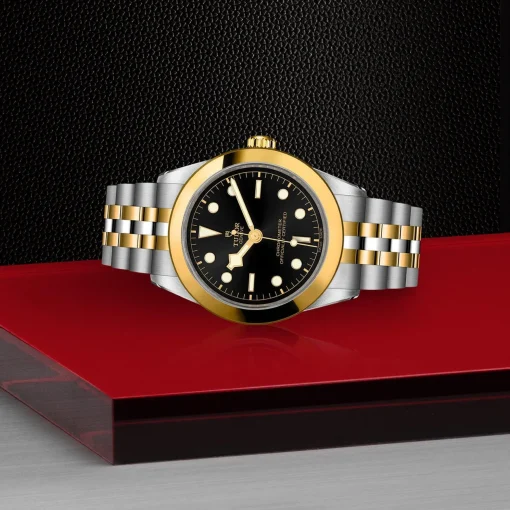 TUDOR Black Bay One S&G 39mm Automatic Men’s Watch