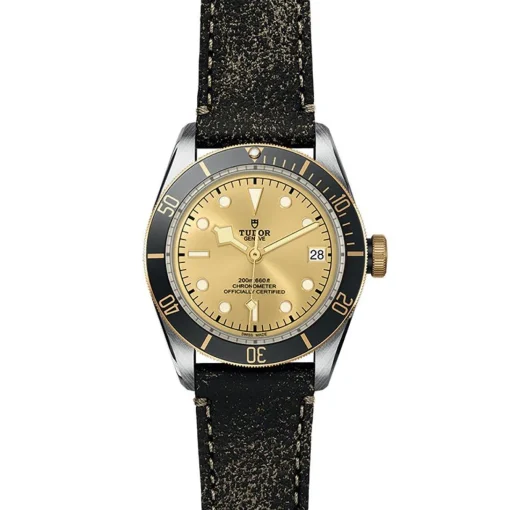 TUDOR Black Bay S&G 41mm Automatic Men’s Watch