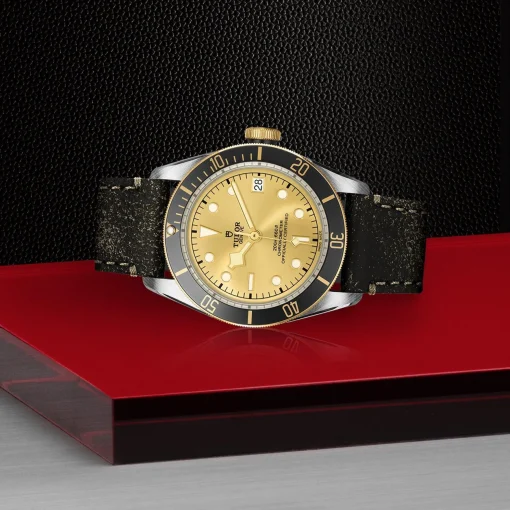 TUDOR Black Bay S&G 41mm Automatic Men’s Watch