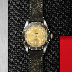 TUDOR Black Bay S&G 41mm Automatic Men’s Watch