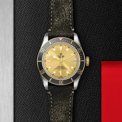 TUDOR Black Bay S&G 41mm Automatic Men’s Watch