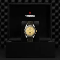TUDOR Black Bay S&G 41mm Automatic Men’s Watch