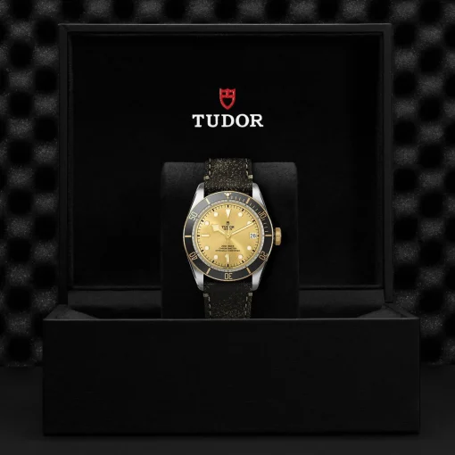 TUDOR Black Bay S&G 41mm Automatic Men’s Watch