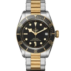 TUDOR Black Bay S&G 41mm Automatic Men's Watch