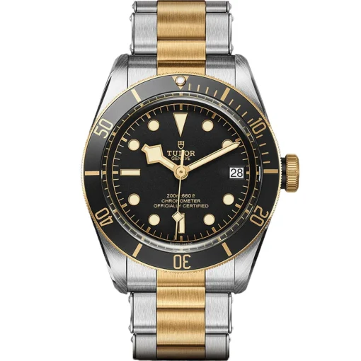 TUDOR Black Bay S&G 41mm Automatic Men's Watch