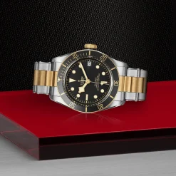 TUDOR Black Bay S&G 41mm Automatic Men's Watch