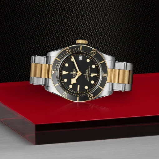 TUDOR Black Bay S&G 41mm Automatic Men's Watch