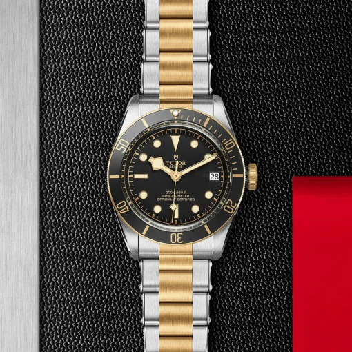 TUDOR Black Bay S&G 41mm Automatic Men's Watch