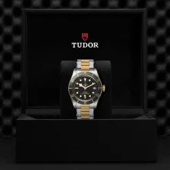 TUDOR Black Bay S&G 41mm Automatic Men's Watch