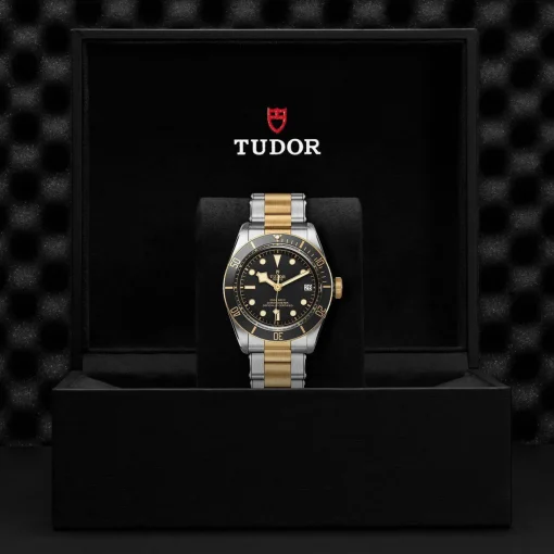 TUDOR Black Bay S&G 41mm Automatic Men's Watch