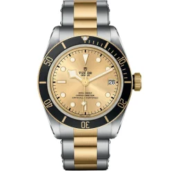 TUDOR Black Bay S&G 41mm Automatic Men's Watch
