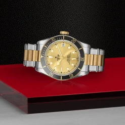 TUDOR Black Bay S&G 41mm Automatic Men's Watch