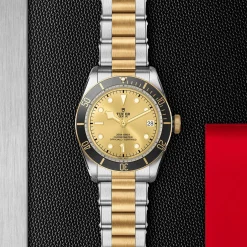 TUDOR Black Bay S&G 41mm Automatic Men's Watch