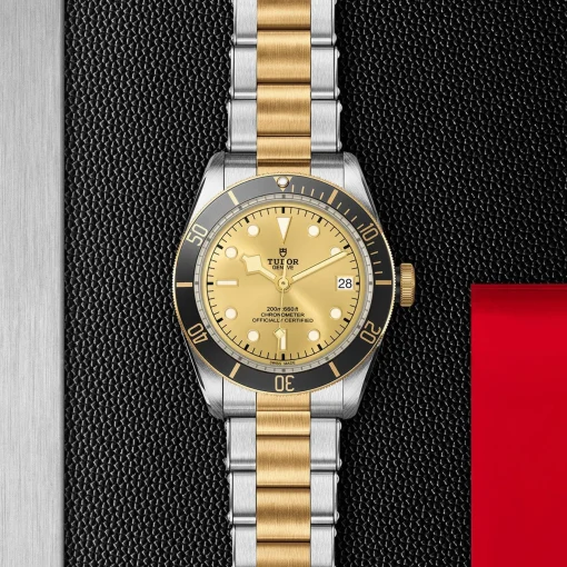 TUDOR Black Bay S&G 41mm Automatic Men's Watch