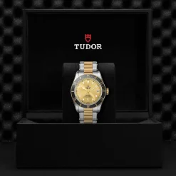 TUDOR Black Bay S&G 41mm Automatic Men's Watch