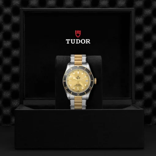 TUDOR Black Bay S&G 41mm Automatic Men's Watch